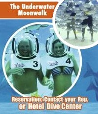 SeavisTours