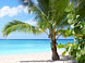 bayahibe, eiland saona, strand