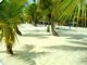 bayahibe, saona, dorpje