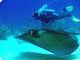 Bayahibe, duiken en snorkelen